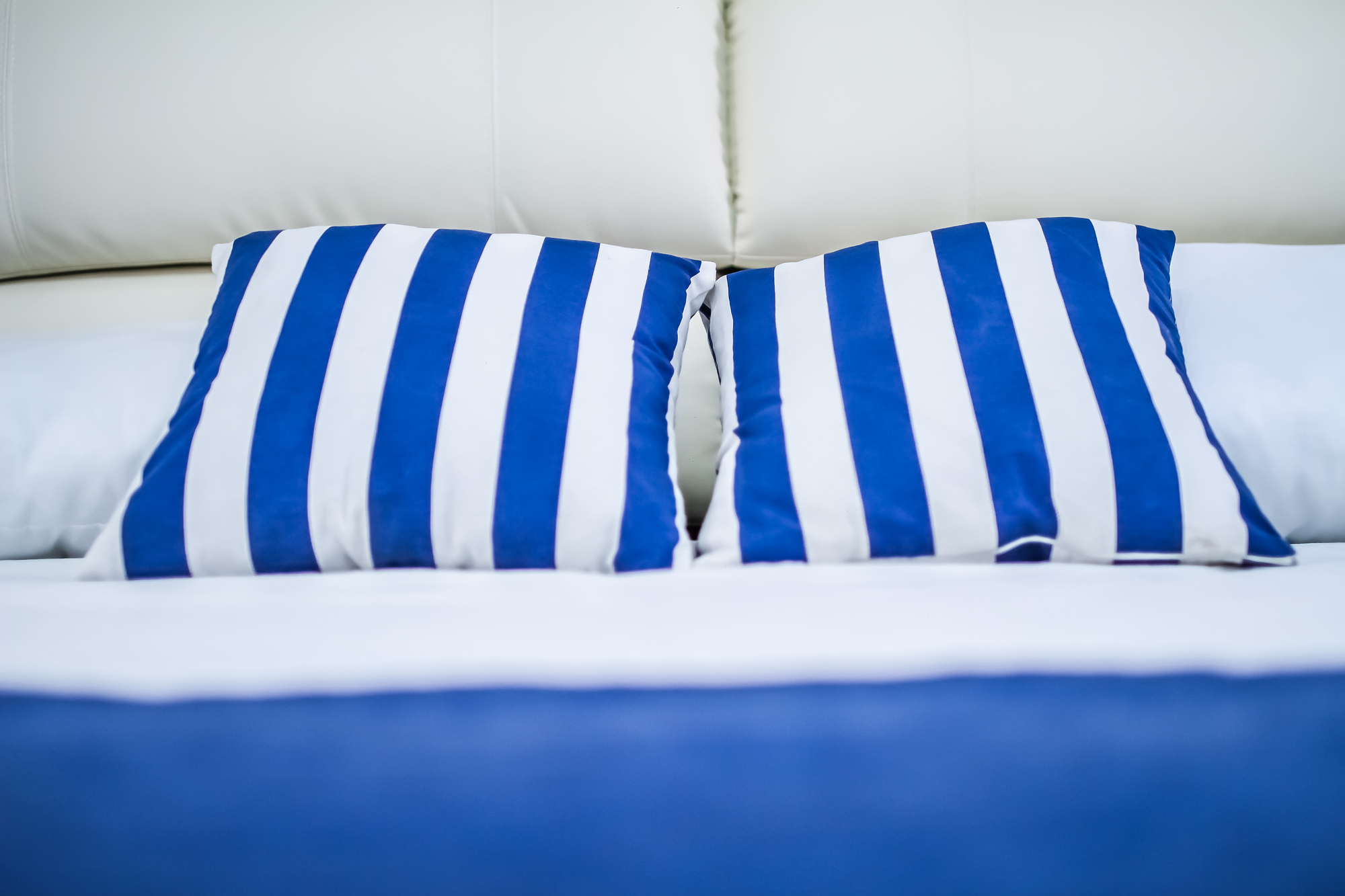 Corallo Blu Cuscini
