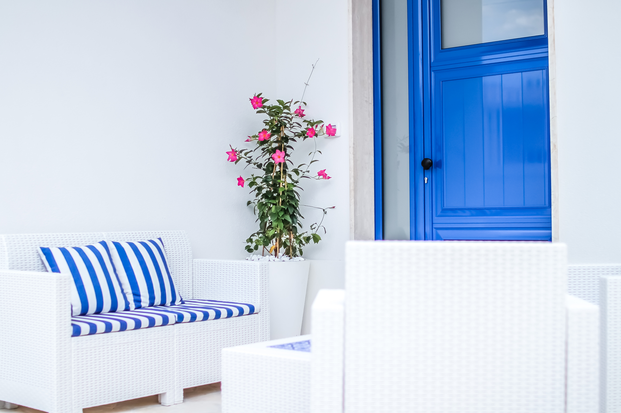 Corallo Blu Esterna Relax